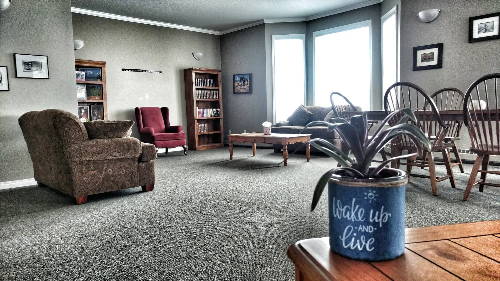 Shared lounge with armchairs, bookshelves and dining chairs